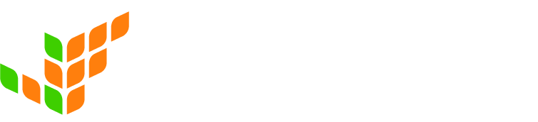 LogicField Technology Logo